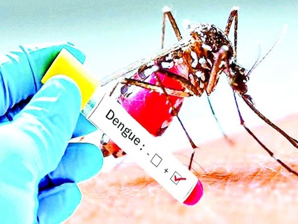 Dengue cases are increasing in Hyderabad