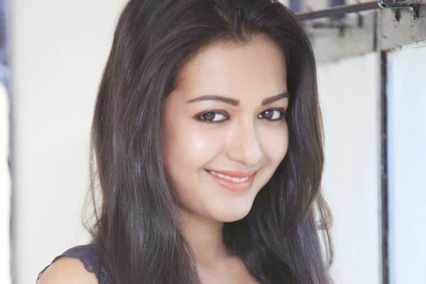 Catherine Tresa in Khaidi No 150, Khaidi No 150 Catherine Tresa item song, Catherine Tresa special song in chiru 150th movie, Catherine Tresa song Chiranjeevi 150th movie