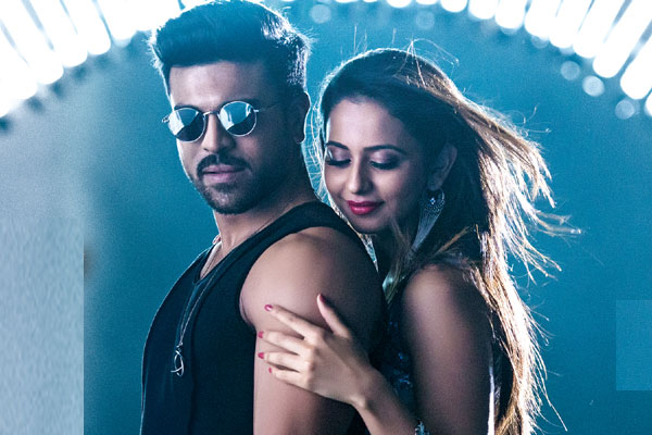 Dhruva Weekend Collections