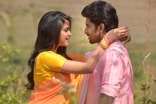 Nenu Local Worldwide Pre-Release Business