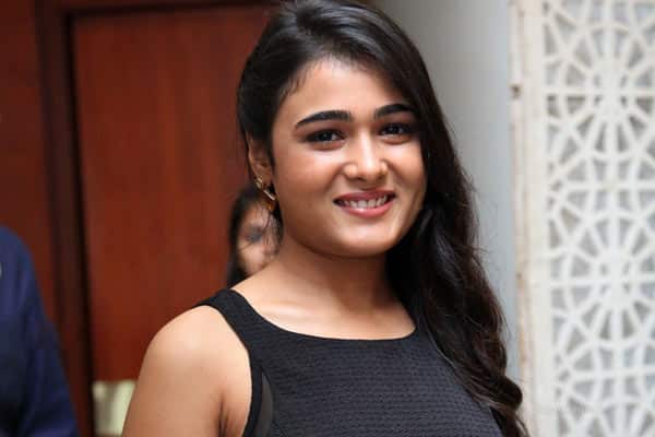 Arjun Reddy Heroine Opposite Hit Telugu Hero