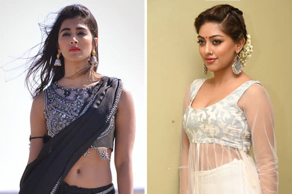 NTR28 - Pooja Hegde or Anu Emmanuel