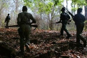 12 Maoists killed in Telangana gunfight