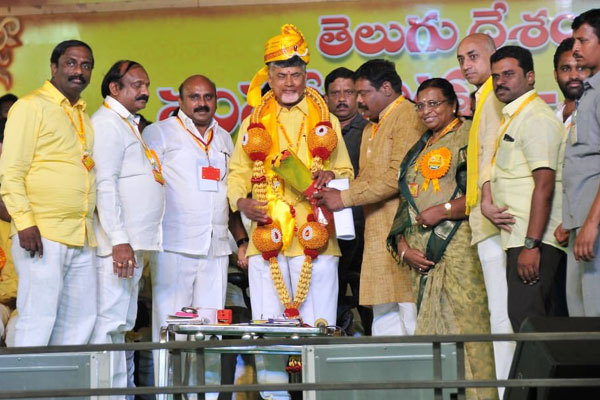 Mahanadu Attack on BJP, what could be the Chandra Babu Naidu's strategy for 2019