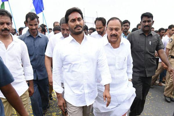 Honey bees attack Jagan, Padayatra interruptedHoney bees attack Jagan, Padayatra interrupted