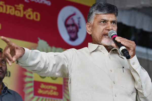 TDP chief leaves decision on poll alliance to Telangana unit