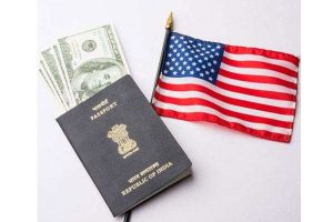 No official word from US on capping H1B visa quota: India