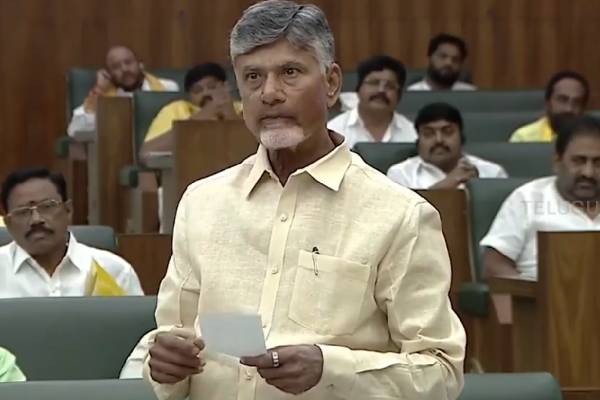 AP CM Presents White Paper on Andhra Pradesh's Finances