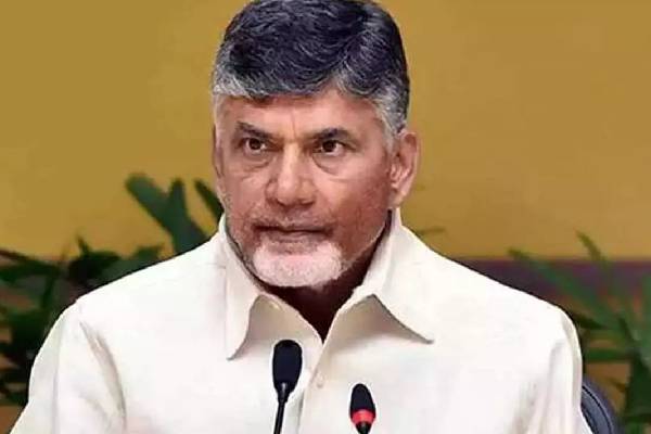 People voted us to undo damage caused by Jagan, says Naidu