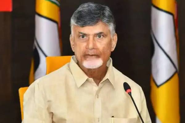 chandrababu comments on ys jagan