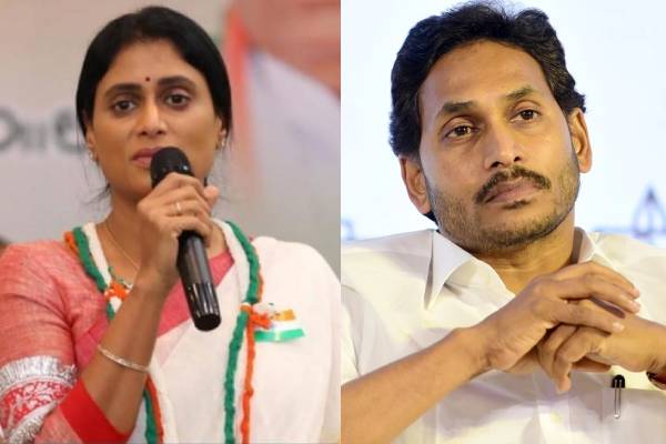 ys sharmila comments on ys jagan