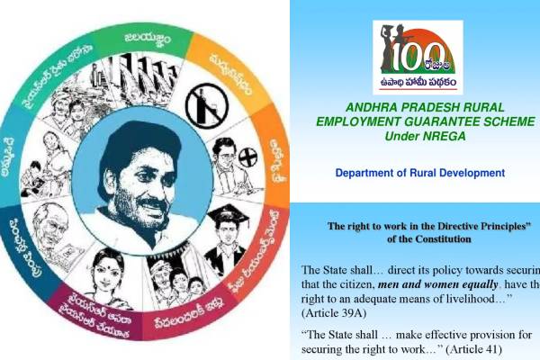 ycp employement guarentee scheme scam